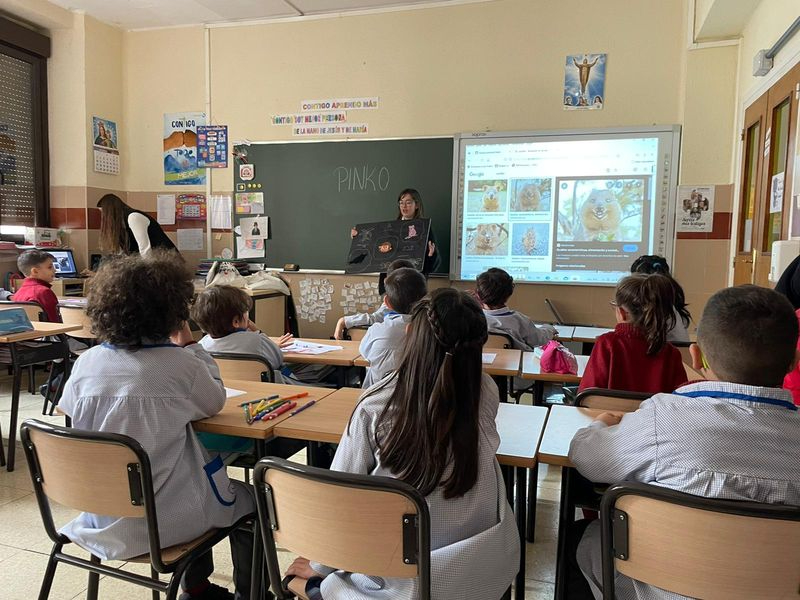 En busca del tesoro: los valores, en el Colegio San Juan Bosco 