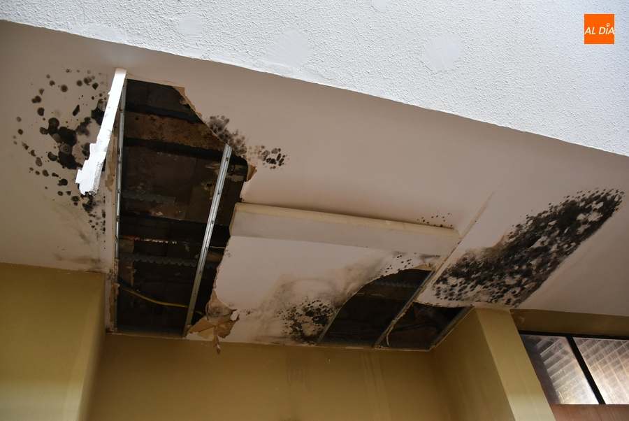 La Estación de Autobuses ‘agoniza’ a la espera del inicio de la reforma