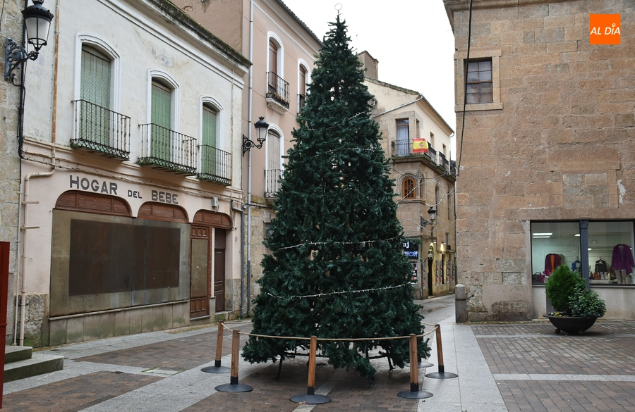 Levantado en el centro de la calle Madrid el árbol que decorarán los niños