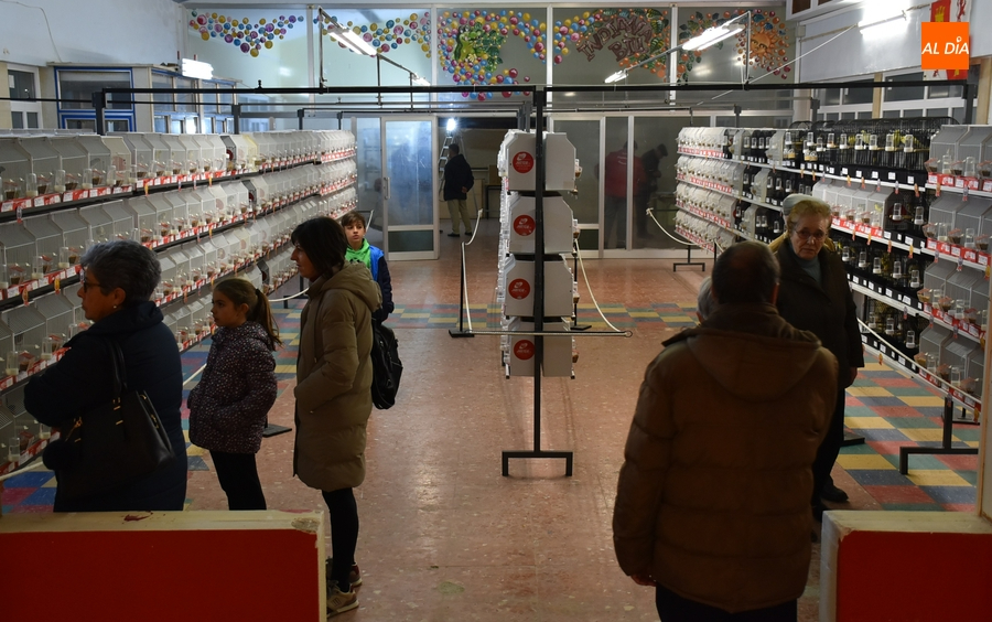 El Campeonato de Castilla y León de Ornitología reúne en Miróbriga a 1.200 pájaros
