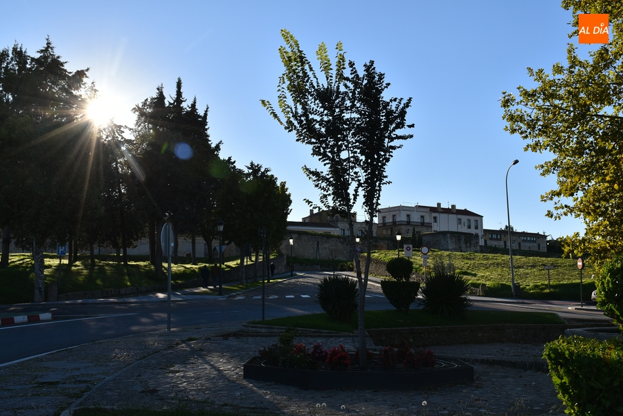 El nuevo ‘Árbol Gordo’ cumple su primer año en el centro de Ciudad Rodrigo