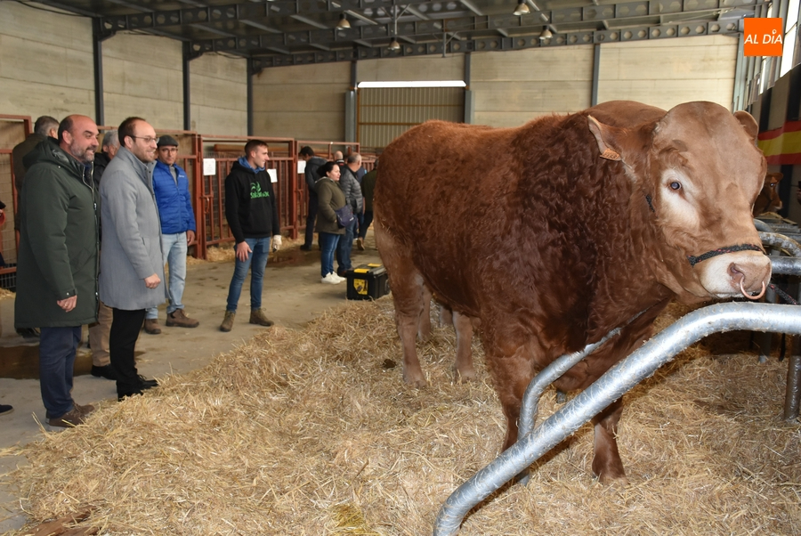 ‘Oportuno’, gran vencedor de la Feria de San Andrés 2022