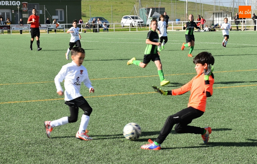 #M | 12-13 NOV | El Benjamín B del Ciudad Rodrigo refuerza su liderato al ganar a otro equipo de arriba
