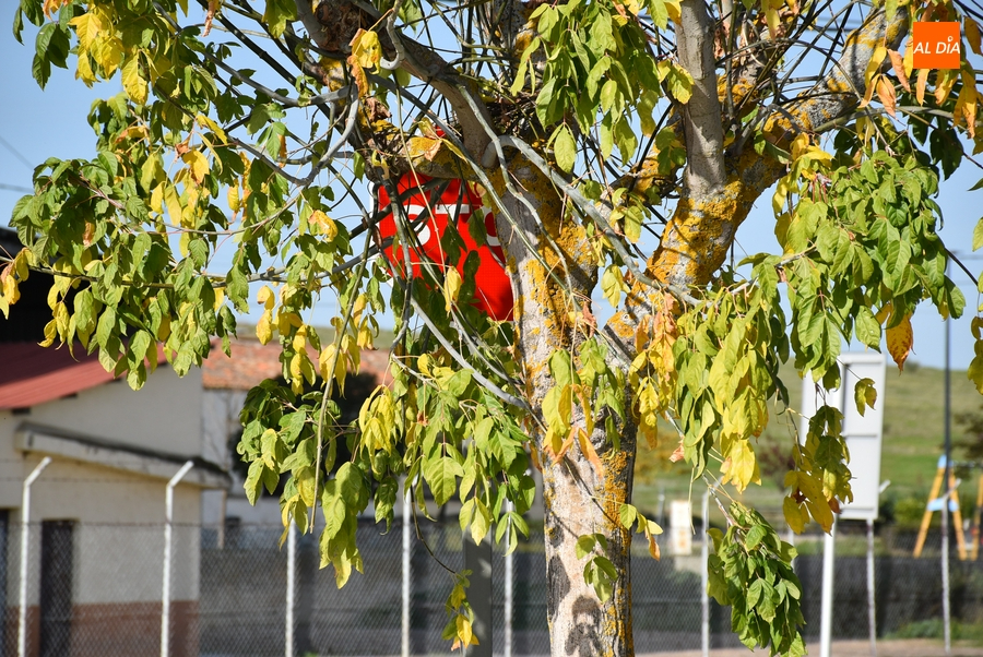 1Foto: Con el otoño se ve un poco