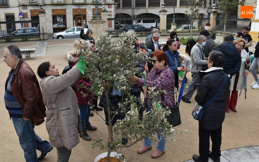 Cáritas enriquece árboles dentro de su conmemoración de la Jornada Mundial de los Pobres