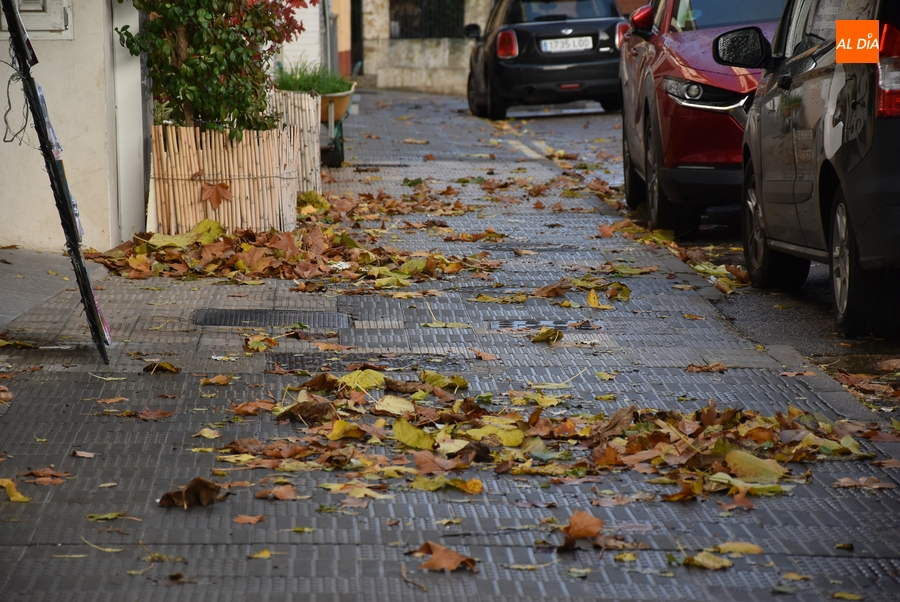 1Foto: Y eso que no hay árboles