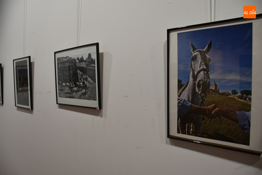 Presentadas 20 imágenes al XIX Concurso de Fotografía de la Feria del Caballo