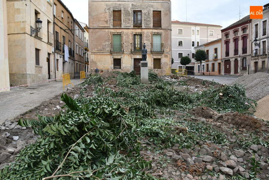 Retirados los árboles del Campo de Carniceros