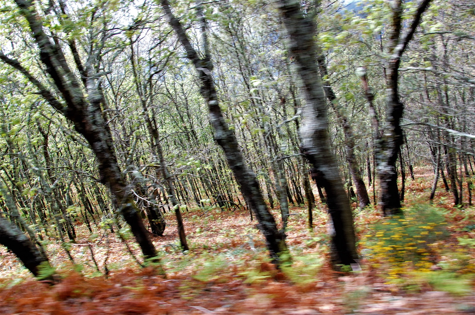 La constancia del cuidado