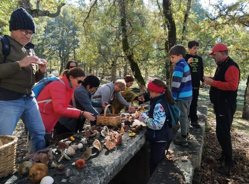 Vecinos de El Payo disfrutan de una salida micológica conjunta