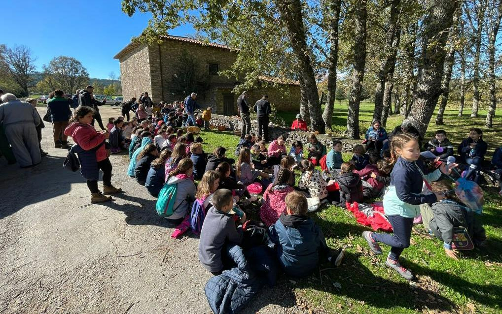 130 escolares de cuatro centros participan en las recuperadas Jornadas Micológicas Infantiles