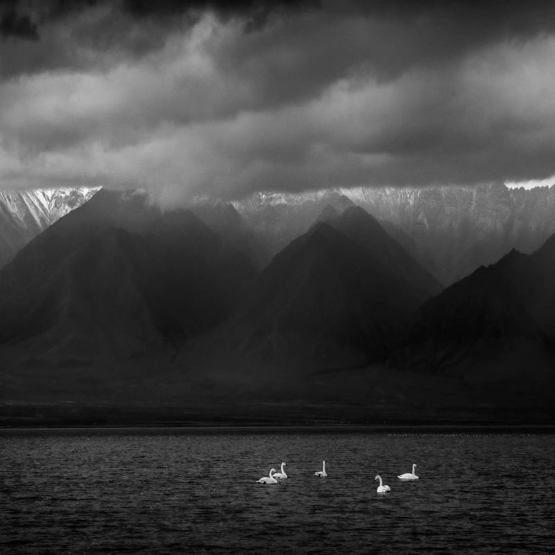 La espectacular imagen que ha ganado el XI Concurso de ‘Transversalidades– Fotografía sin Fronteras’