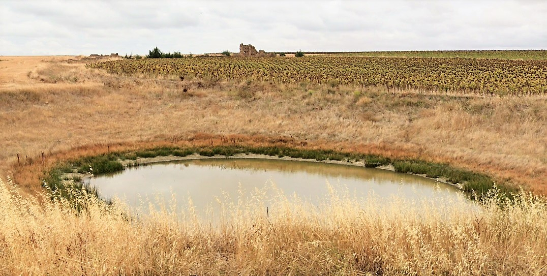 Sordos, las olvidadas lágrimas que besan el campo de Gomecello