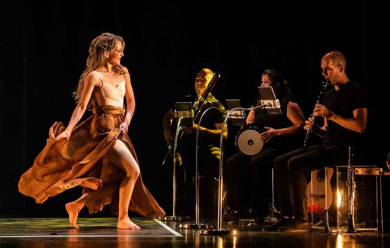 Teloncillo trae al Liceo su espectáculo ‘Aletas’, dirigido al público familiar