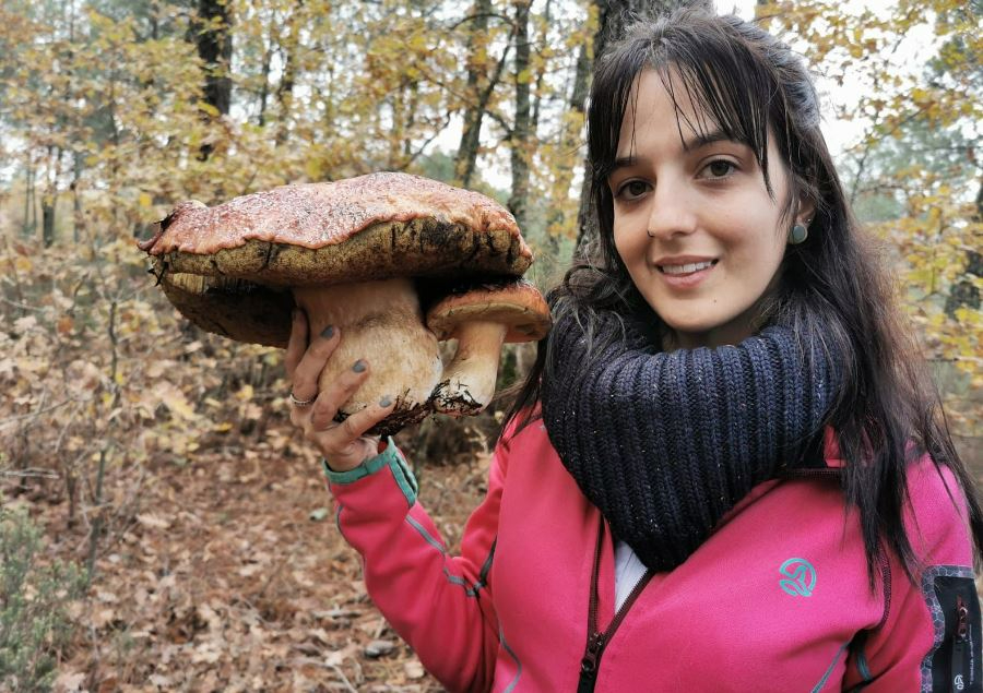 Recogida una seta de casi 2,5 kilos en el entorno de La Alberca
