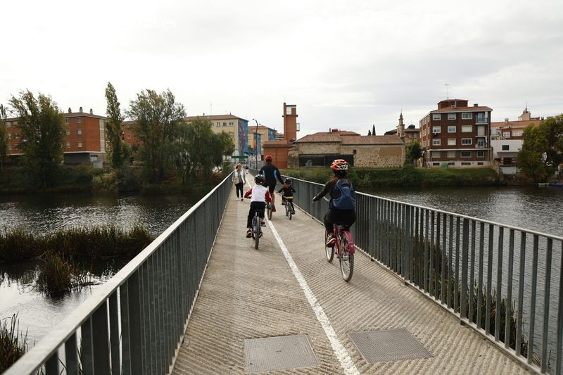 ¿Cuántas familias numerosas hay en Salamanca?