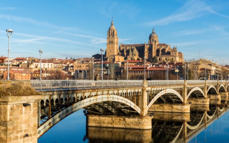 CBD en Salamanca de la mano de Gorilla Grillz: calidad garantizada