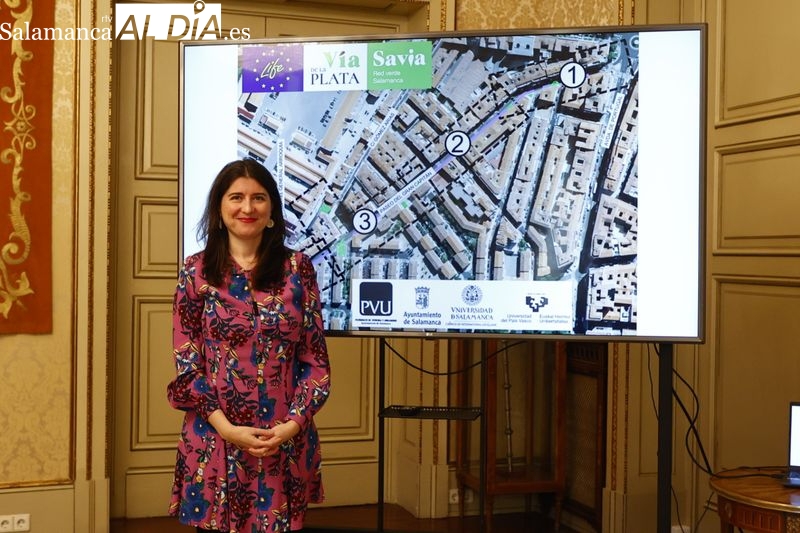 Los espectaculares cambios que llegarán a la calle Gran Capitán 