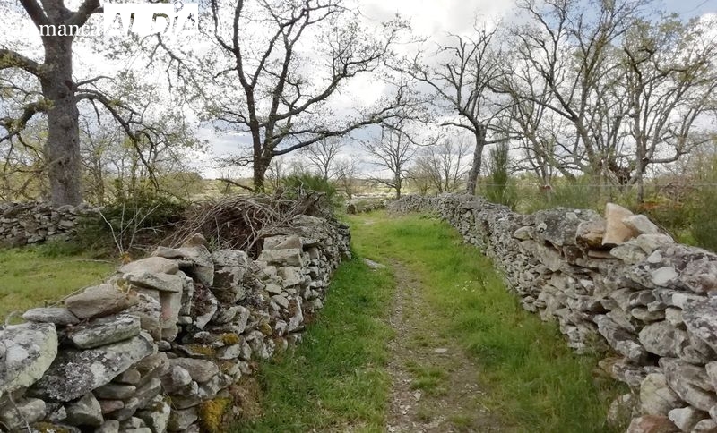 Aprobado el estudio de impacto ambiental de la concentración parcelaria de Lumbrales  