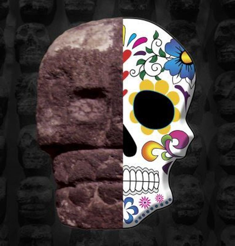 Programación de la Biblioteca de la Casa de las Conchas para esta semana