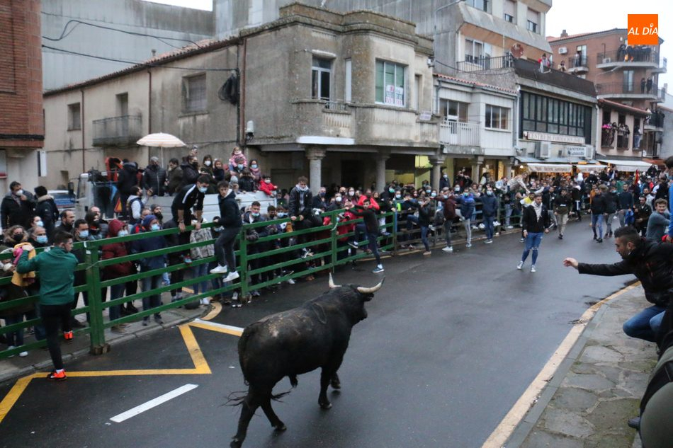 Vitigudino vivirá el 6 de diciembre el II Toro de San Nicolás