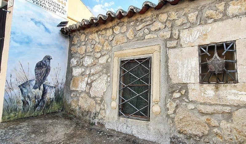 Las aves autóctonas que inspiran estos impresionantes murales