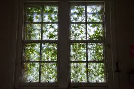  Centro de Salud Mental II parte