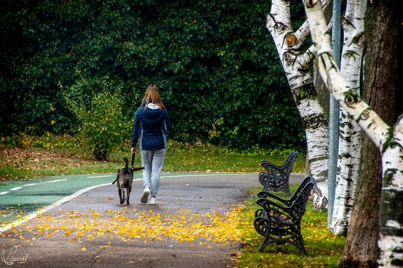 Pasos y pensamientos