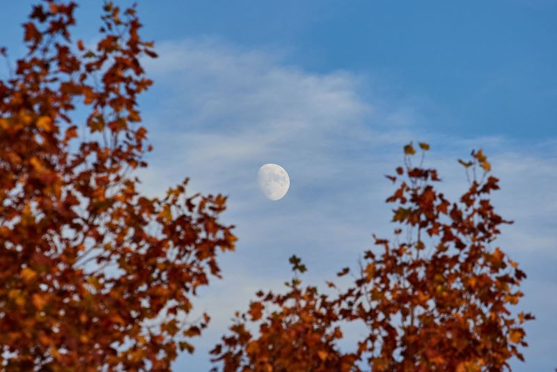 Luna de otoño