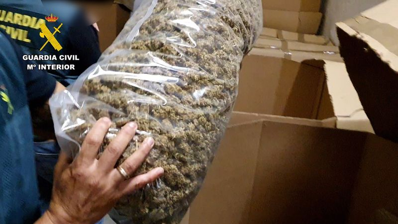 Incautado el mayor alijo de marihuana envasada encontrado hasta el momento: 32 toneladas de cogollos