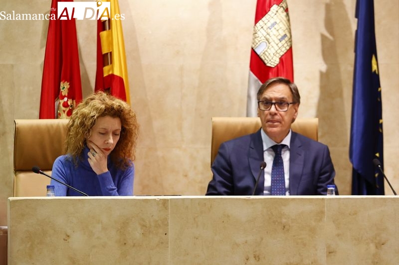 Dos temas importantes para Salamanca ponen de acuerdo a todos los grupos del Ayuntamiento