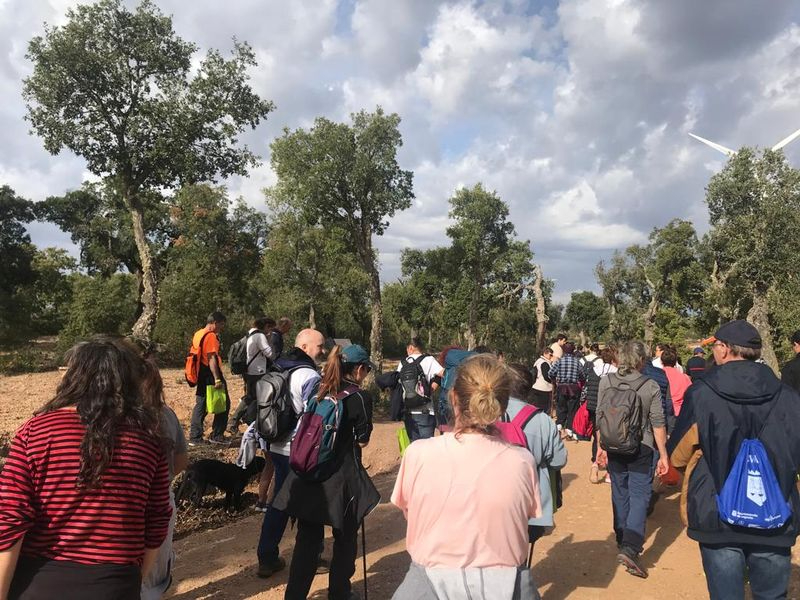 La ruta de El bosque inclusivo que recorre parte del alcornocal de Valdelosa