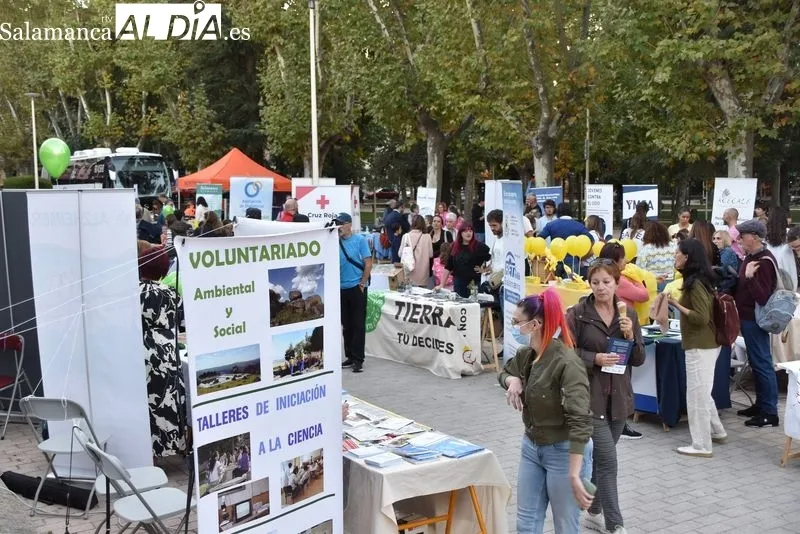La Mesa de Voluntariado de Salamanca organiza una jornada lúdica