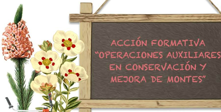 Abierta la inscripción para una acción formativa sobre conservación y mejora de montes