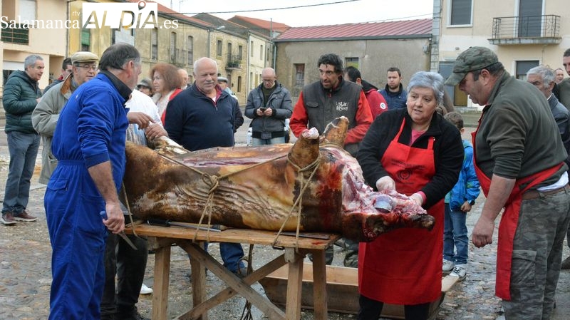 La XXI Matanza Típica del cerdo congrega a vecinos y turistas en Hinojosa de Duero
