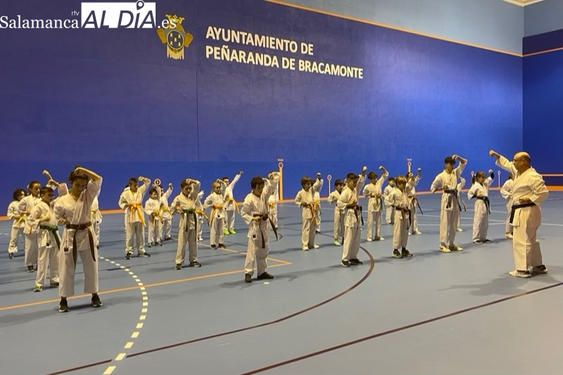 Familias y público disfrutan con una animada exhibición ofrecida por el Club de Kárate