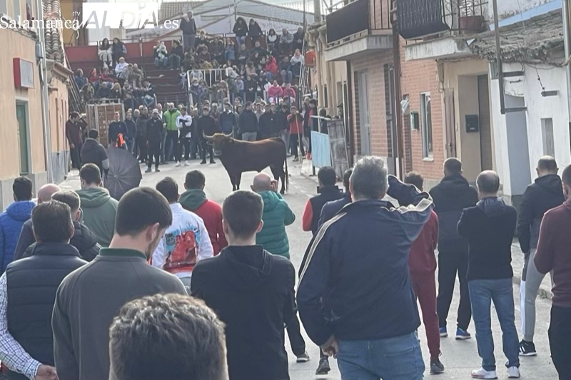 Multitudinario Toro de Cajón en Cantalapiedra, a las puertas de la Navidad