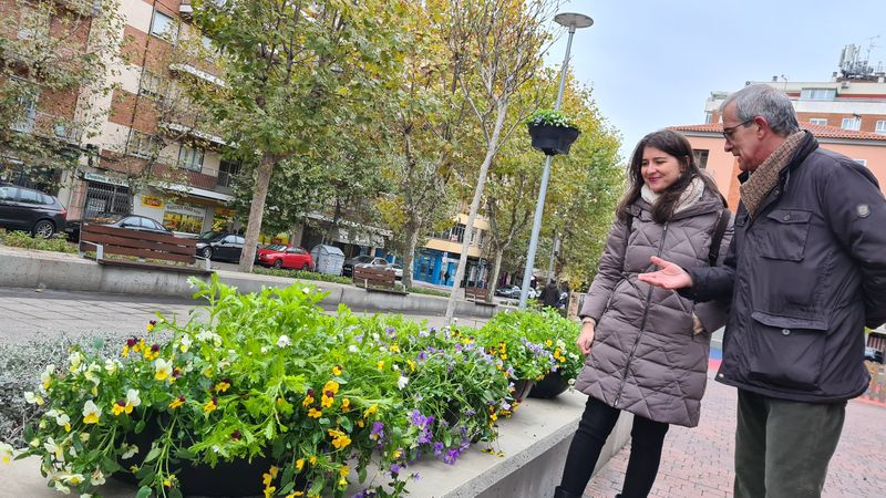 Las jardineras colgantes en las farolas llegan a los barrios