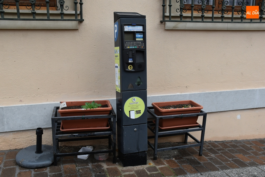 Tres empresas presentan ofertas para quedarse con la ORA