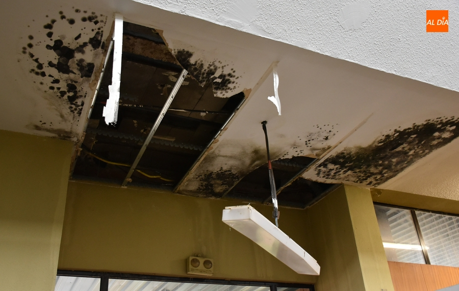 Prosiguen los desprendimientos en la Estación, que ya tiene cartel de obras pero sin rastro de las mismas