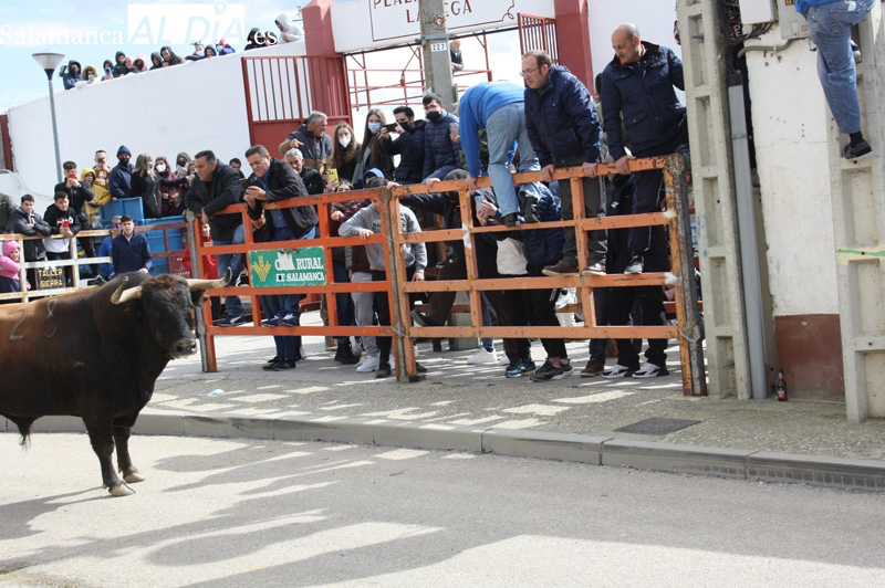 El Toro del Voto 2023 de Villoria ya tiene fecha