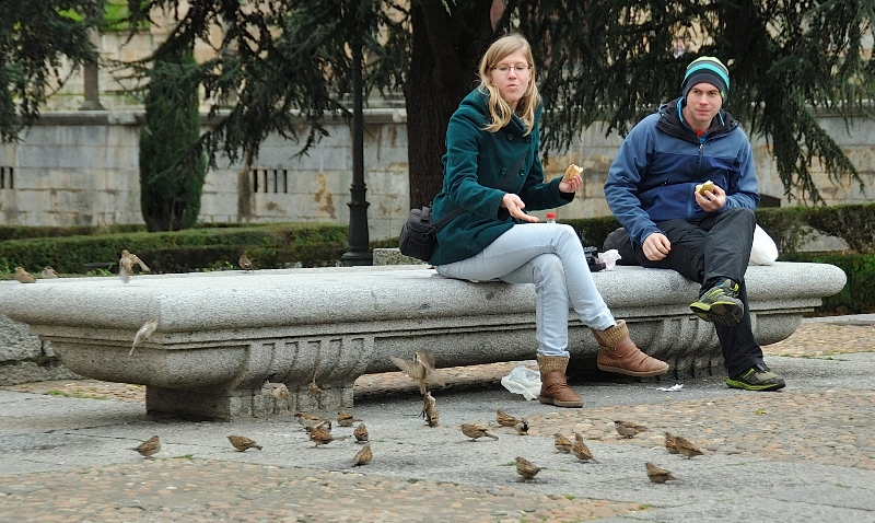 Generosidad que alimenta