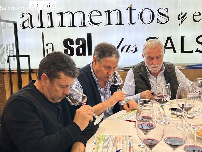 Fagus de Coto de Hayas 2019 Garnacha, fusión de tres añadas
