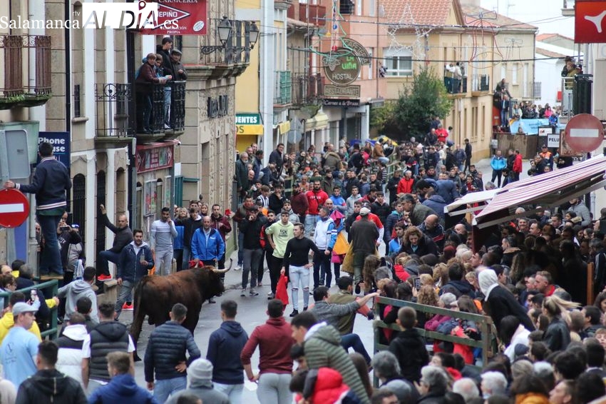 Ni la Selección ni la lluvia pueden con el II Toro de San Nicolás en Vitigudino