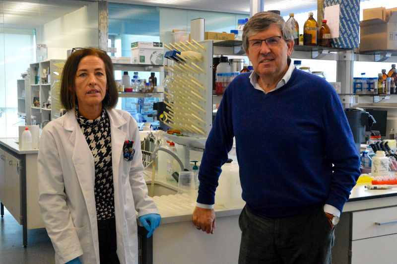 Científicos salmantinos demuestran los beneficios de un hongo para proteger cultivos y fertilizar plantas