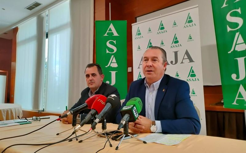 La nueva PAC fomenta la agricultura de sofá, según Asaja CyL