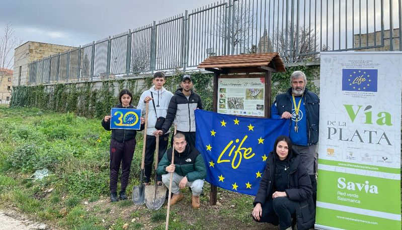 El Parque Arqueológico del Botánico abre un oasis para mariposas