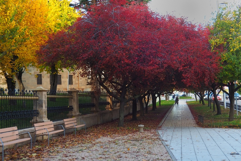 Exultante transformación 