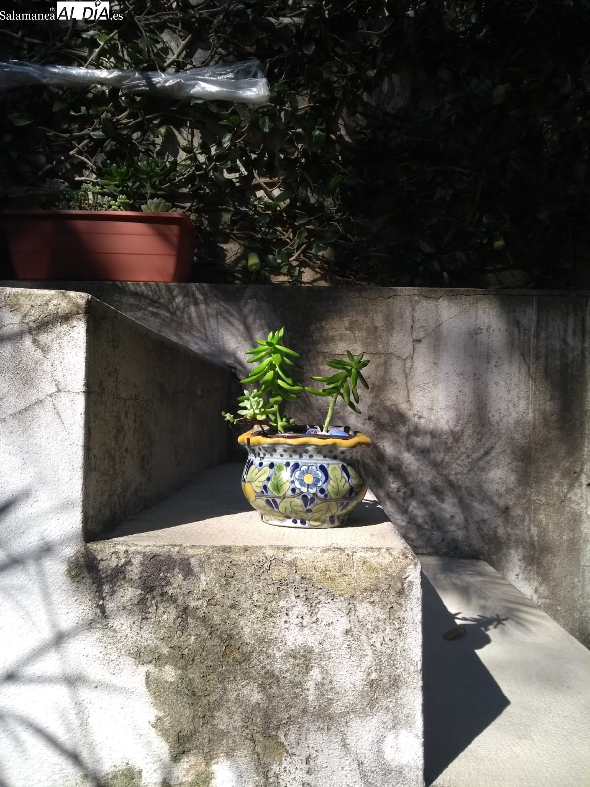 Mi alma la cultivo en la hondura