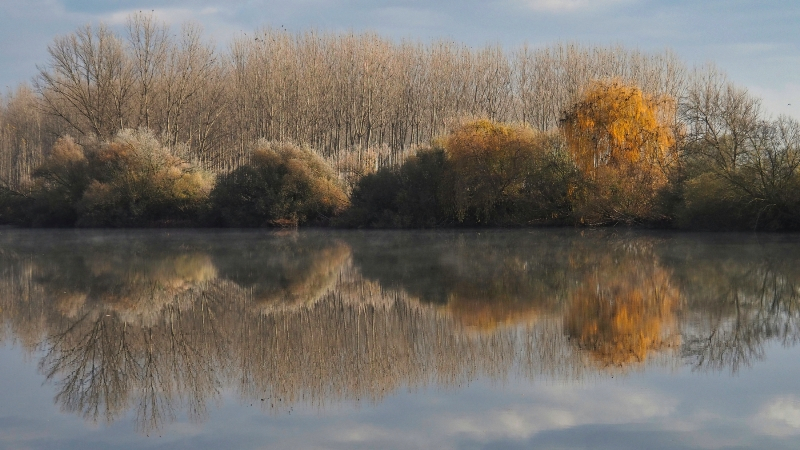Del otoño al invierno